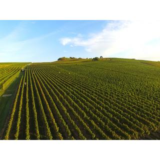 Smartbox  Livraison à domicile de 2 bouteilles de vin suisse avec 1 abonnement de 3 mois - Coffret Cadeau 