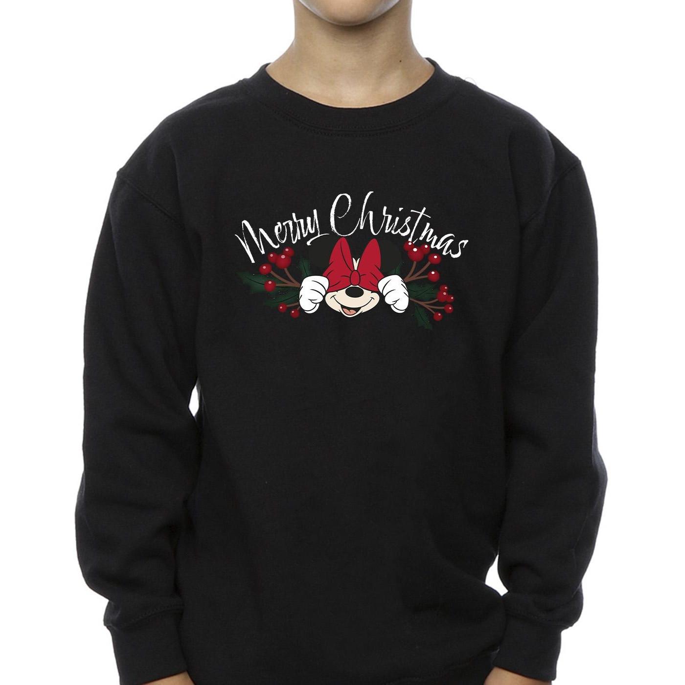 Disney  Sweatshirt 