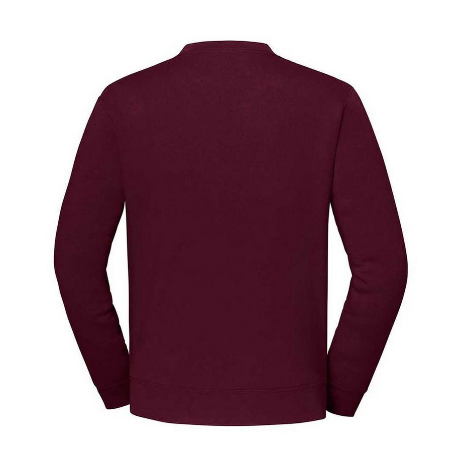 Fruit of the Loom Iconic Premium Sweatshirt Manches Montées  