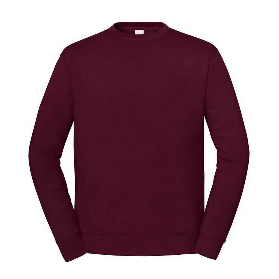 Sweat uni à col rasducou ICONIC PREMIUM