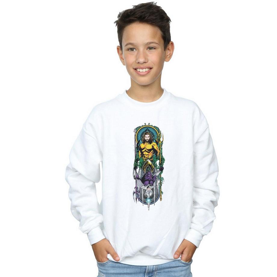DC COMICS  Sweatshirt 