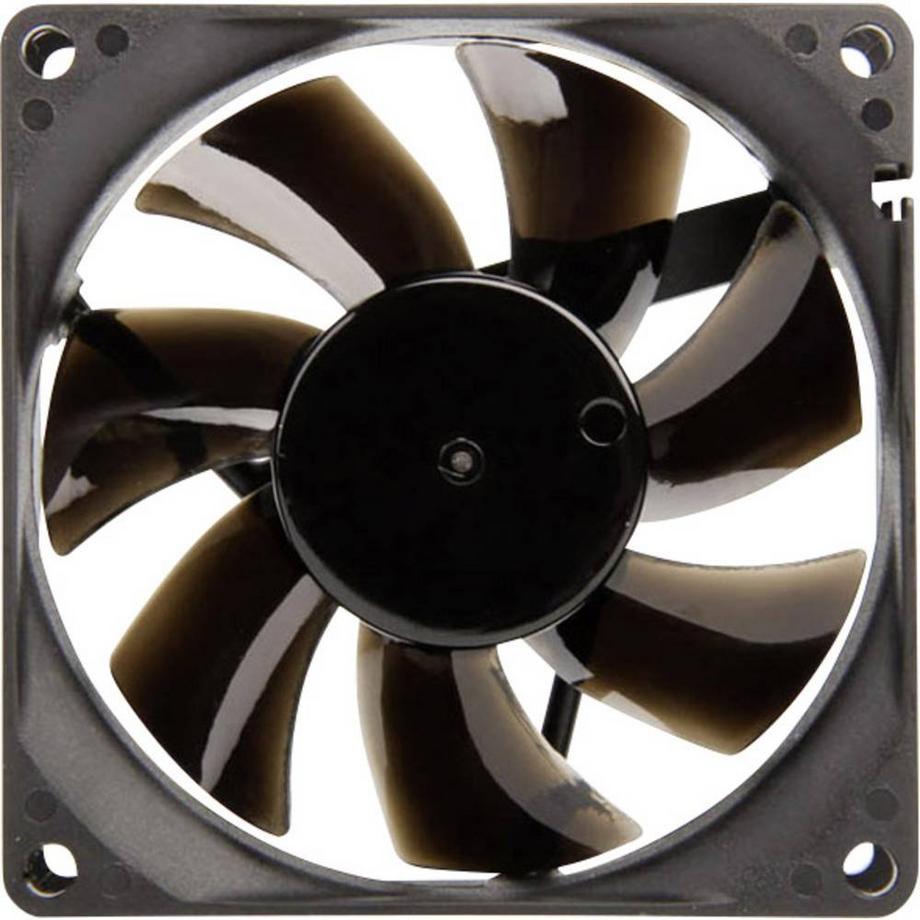 BlackSilent Pro P-P