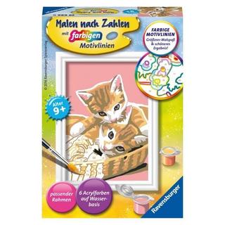 Ravensburger  Ravensburger Malen nach Zahlen, Katzenbabys 