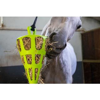 B2X  Hay Slowfeeder fun and flex 22 cm Carotte verte 