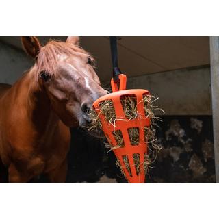 B2X  Hay Slowfeeder fun and flex 22 cm Carotte verte 