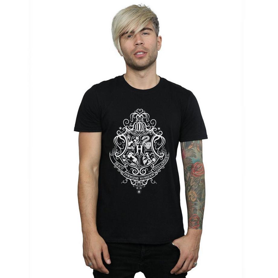 Harry Potter Hogwarts Draco Dormiens T-Shirt  