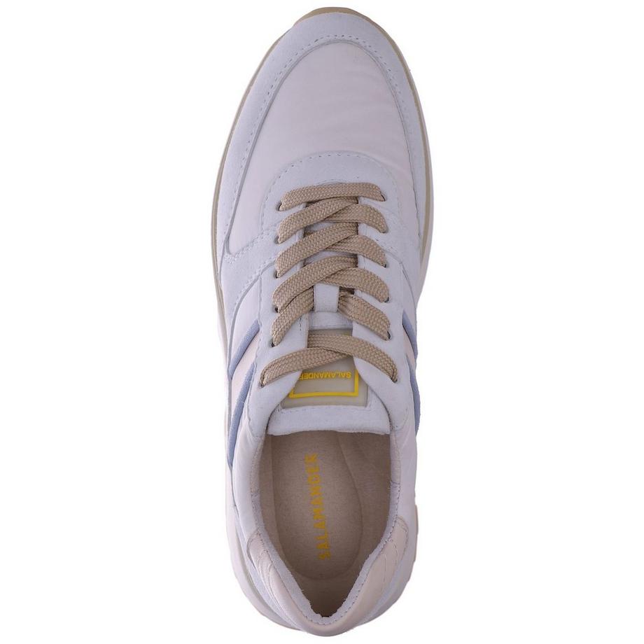 Salamander Sneaker  