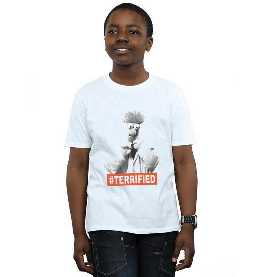 Disney  Tshirt THE MUPPETS 
