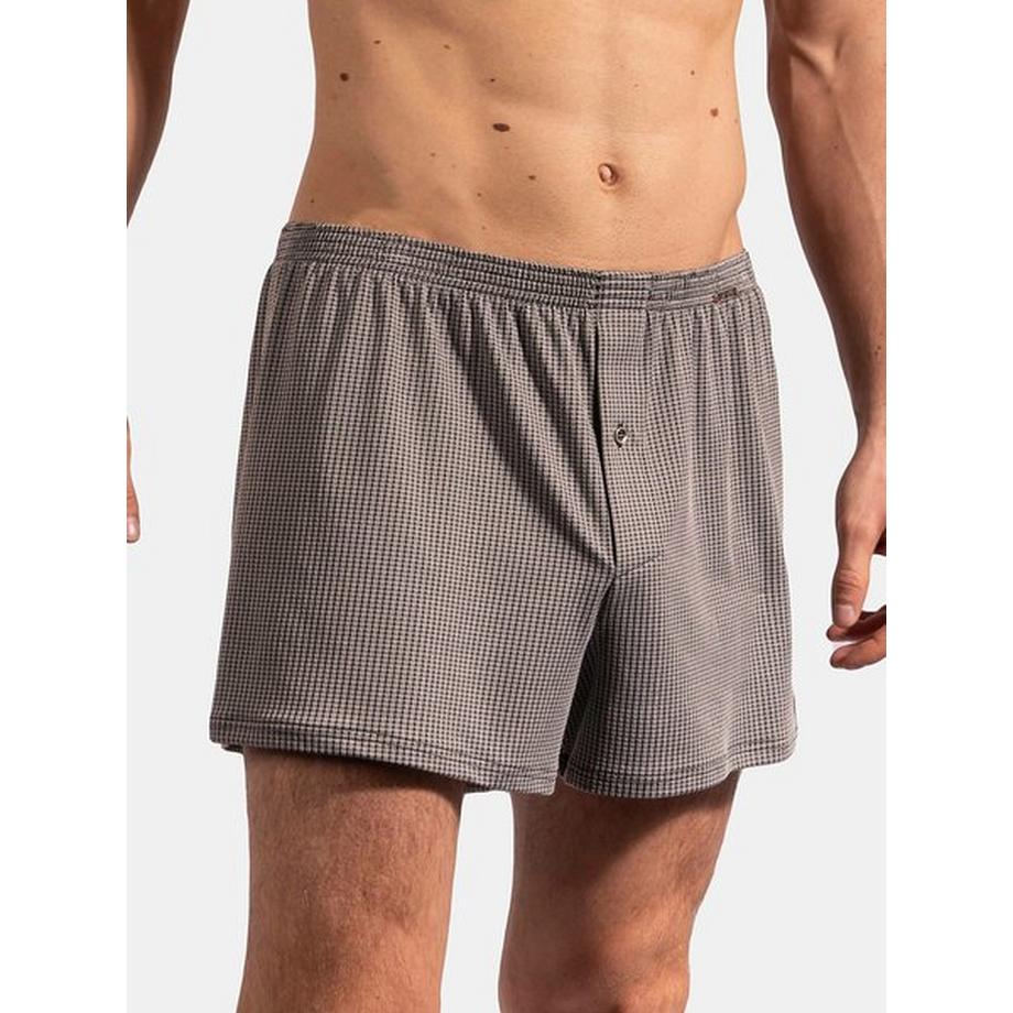 Boxer