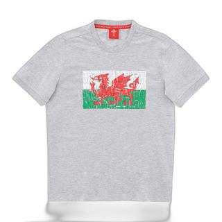 macron  t-shirt wales rugby xv 2020/21 