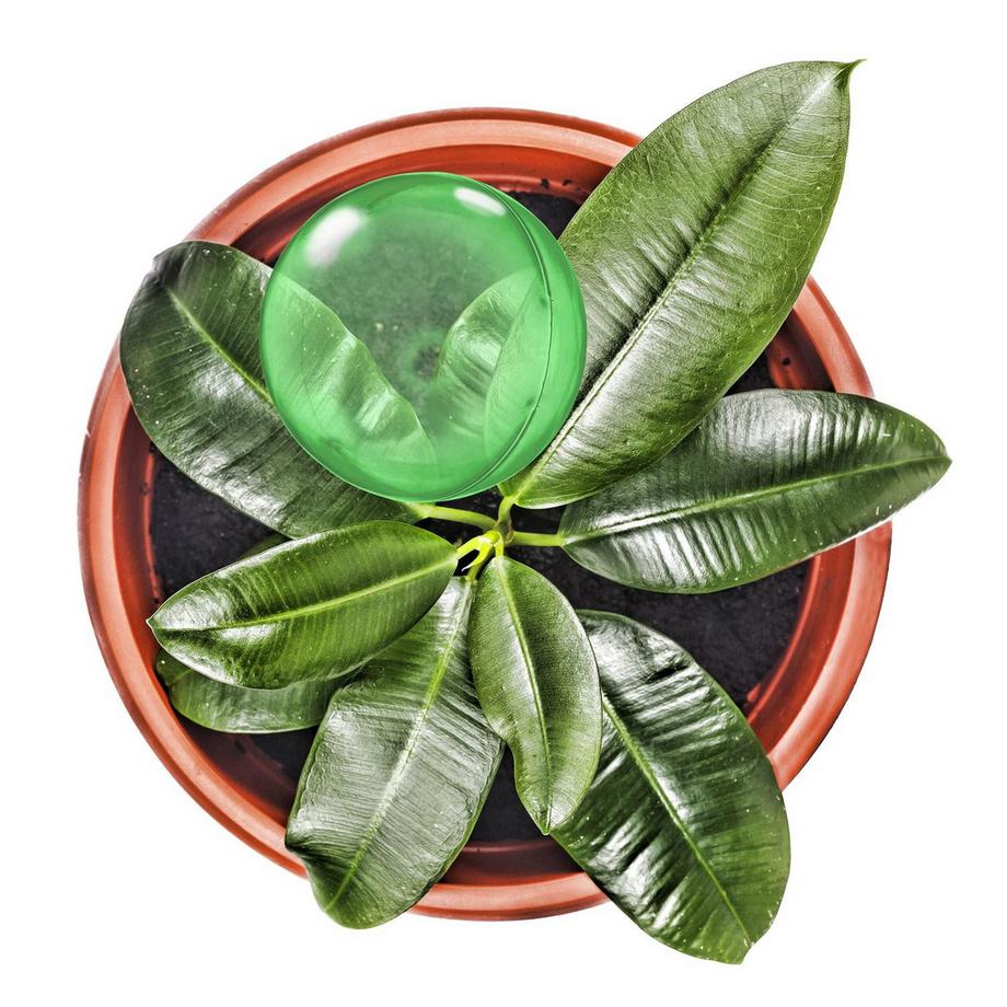 B2X  Palloncini d'acqua - set da 6 