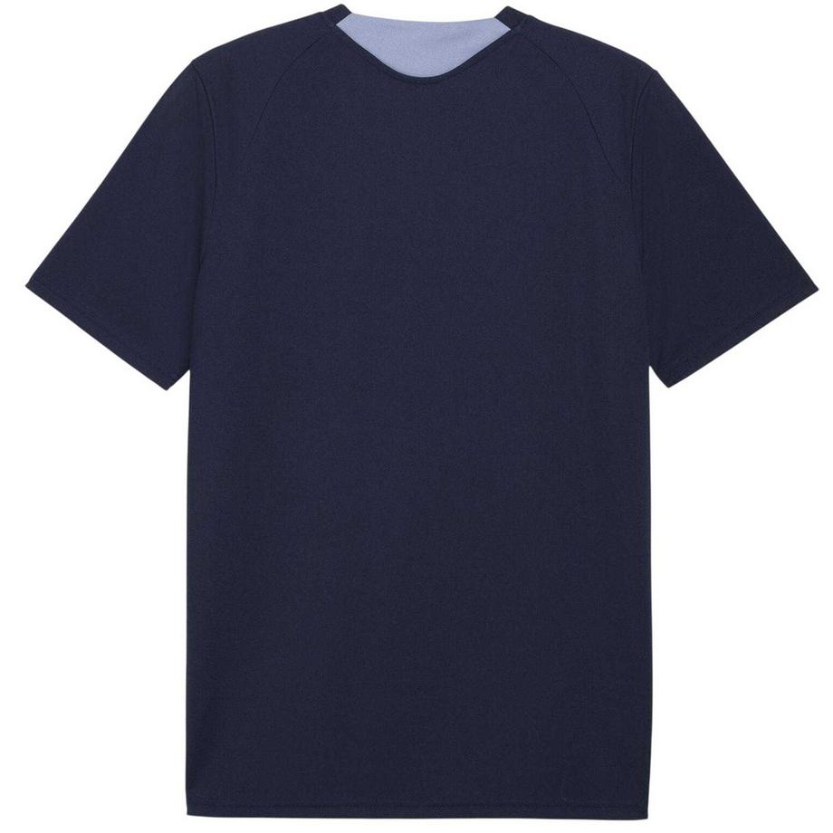 PUMA  T-ShirtEntraînement Motiftyle Équipe D'autriche De Football World Cup 