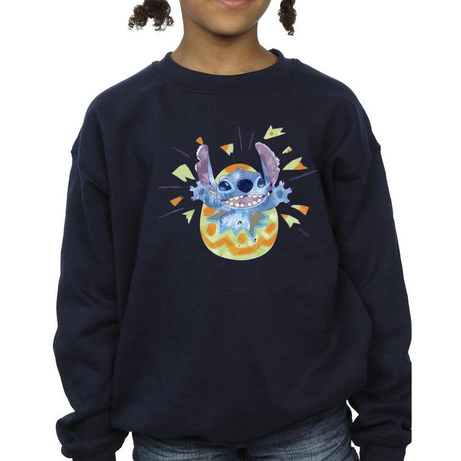 Disney  Sweatshirt 