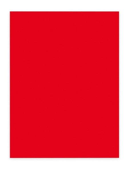 elco ELCO Office Color Papier A4 74616.92 80g, rot 100 Blatt  