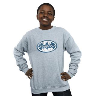 DC COMICS  Sweatshirt 