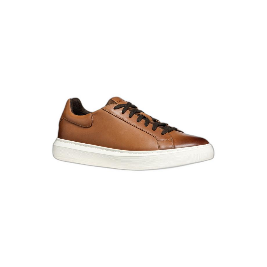 GEOX Deiven D Nappa Sneakers Basse  
