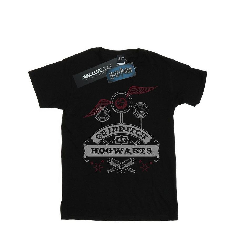 Harry Potter Quidditch At Hogwarts T-Shirt  