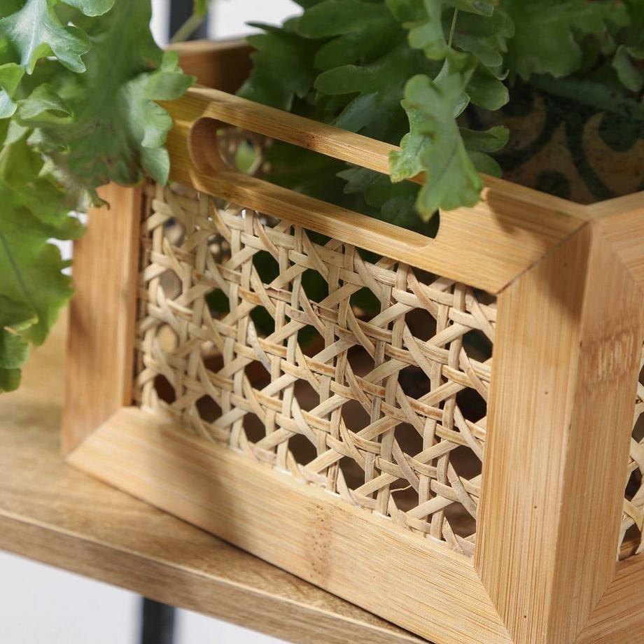 Calicosy Box 22169  