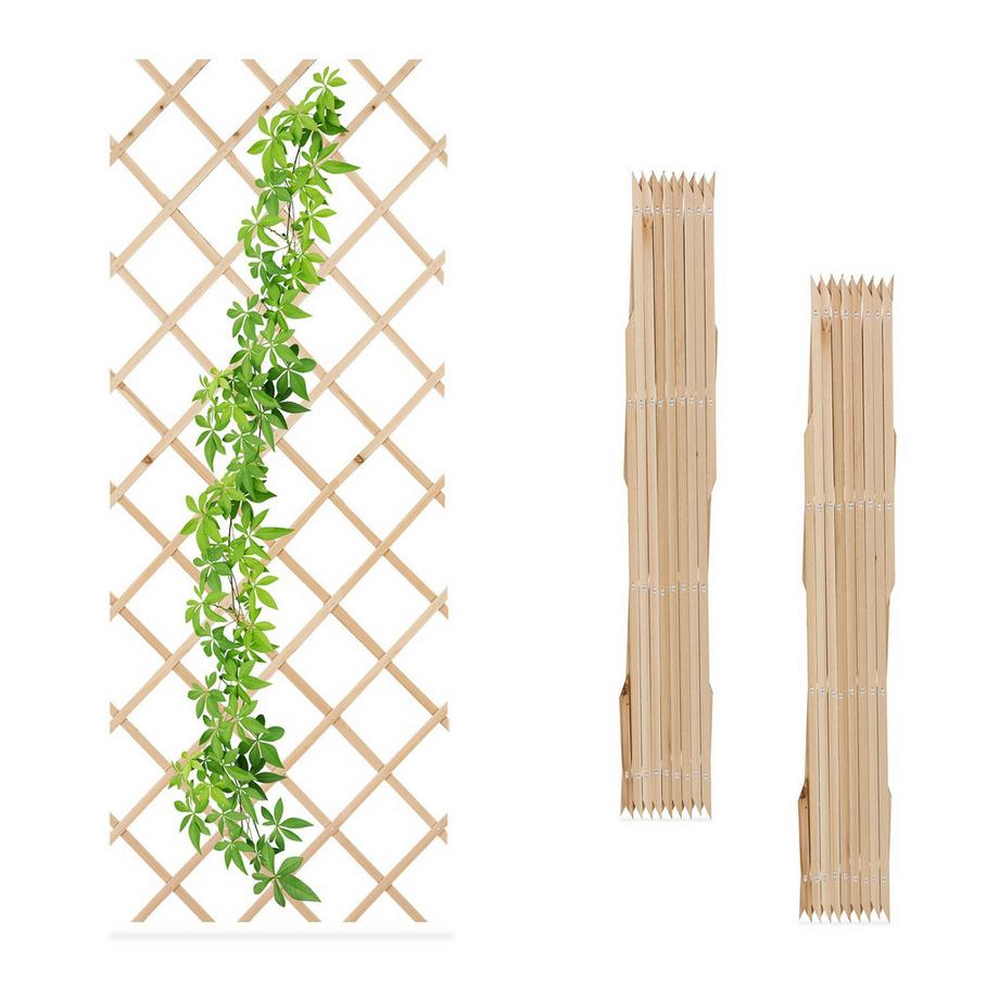 Ensemble de treillis extensible pour plantes