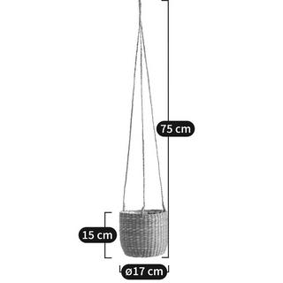 La Redoute Intérieurs Cachet-pot suspendu en herbier Ø13 cm  