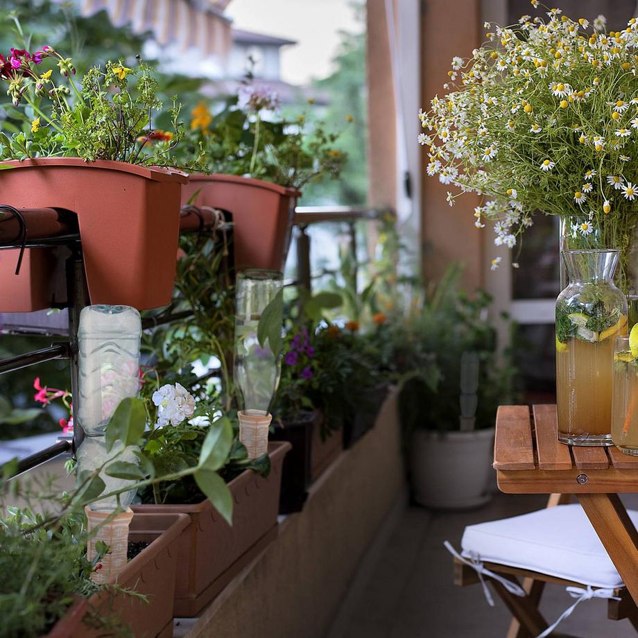 B2X  Tonkegel zur Bewässerung 4 Stück 