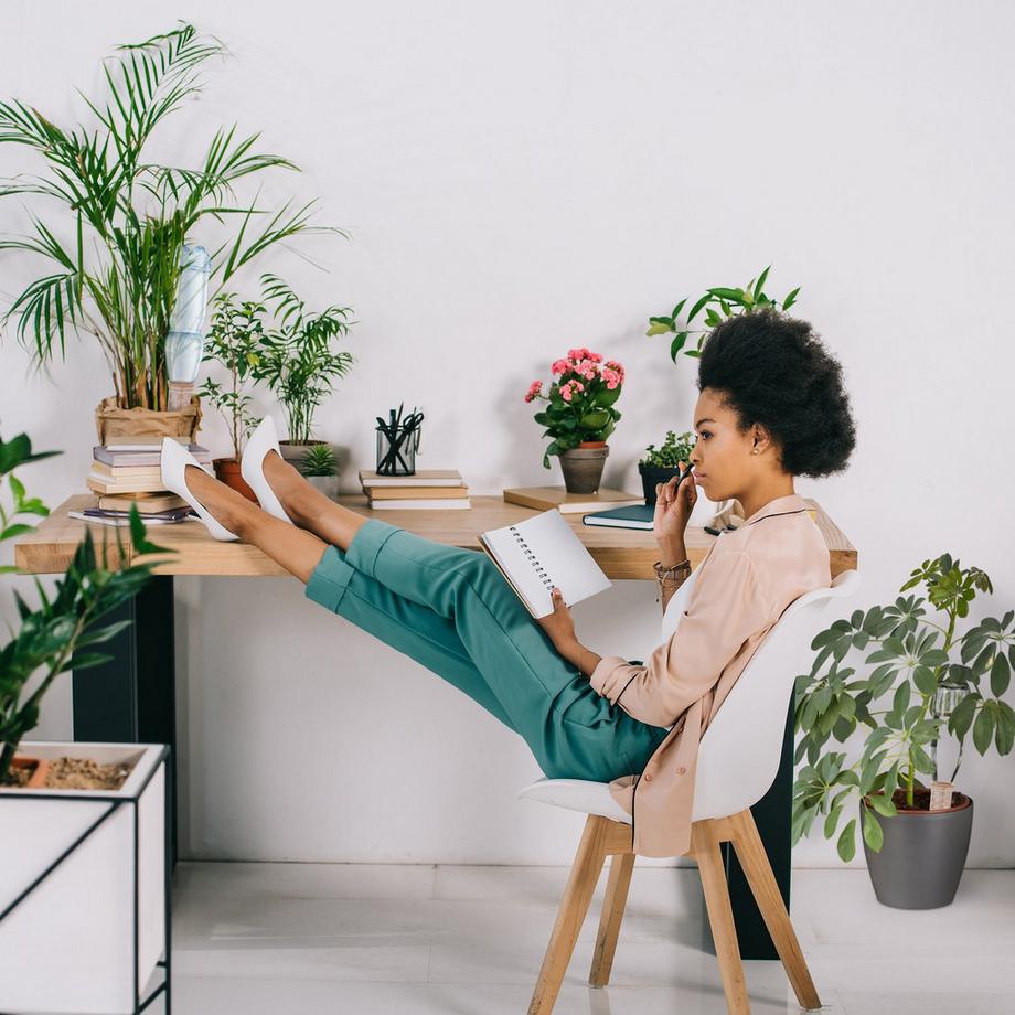 B2X  Tonkegel zur Bewässerung 4 Stück 