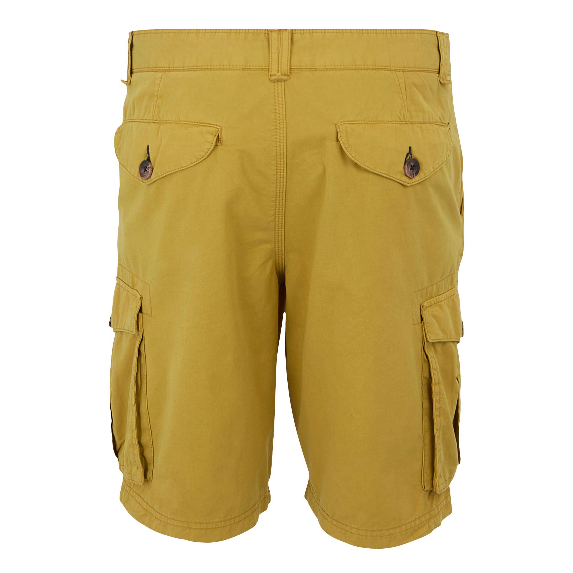 Regatta Shorebay II Cargo Shorts  