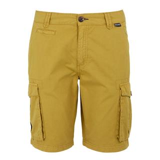 Regatta Shorebay II Cargo Shorts  