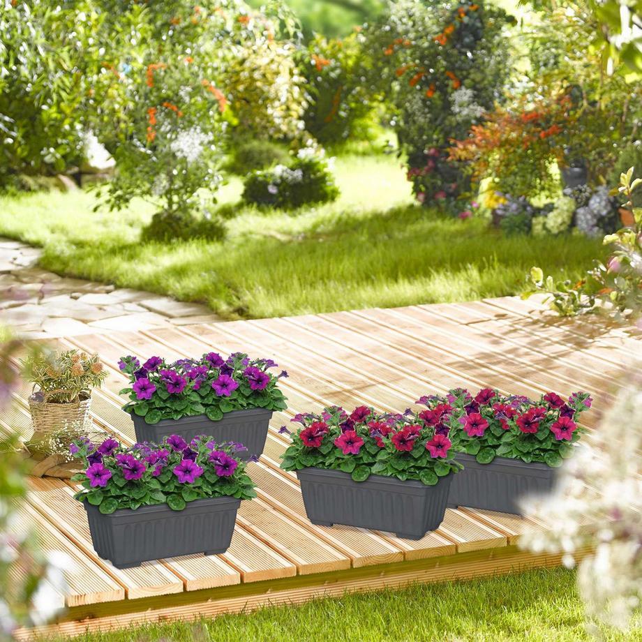 B2X Blumenkasten mit 4 schmalen Blumen  