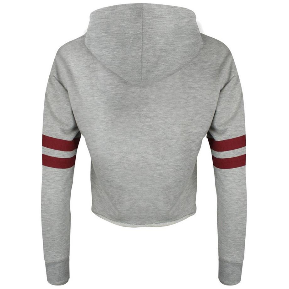 Harry Potter Hogwarts Sweat Court à Capuche  