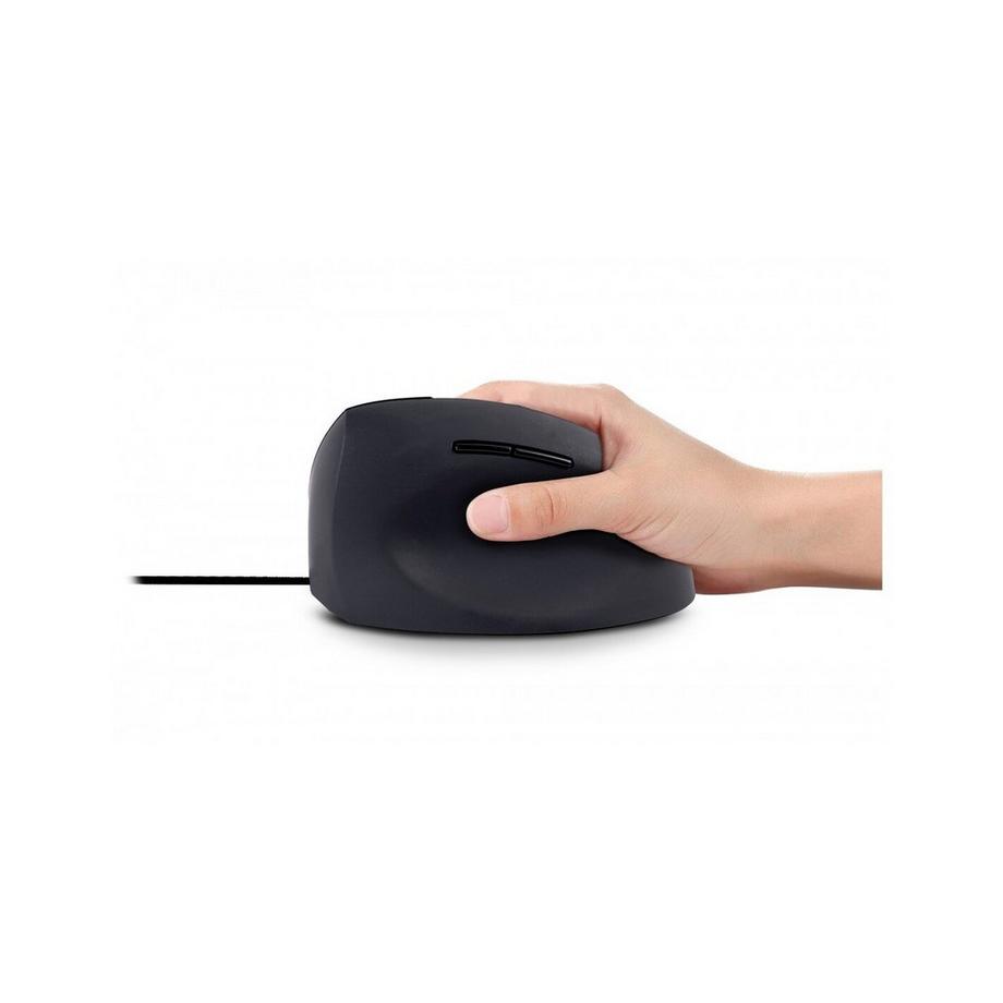 Urban Factory  Souris filaire pour droitier  Ergo Next 
