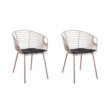 Lot de 2 chaises en Acier Moderne HOBACK