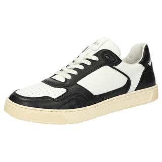 Sioux  Sneaker Tedroso-704 