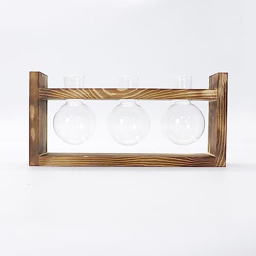 Alopini Blumenvase Vintage Kleine Vasen für Tischdekoration Modernes Glas Reagenzgläser für Blumen mit  