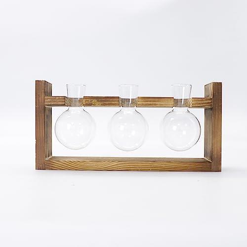 Alopini Blumenvase Vintage Kleine Vasen für Tischdekoration Modernes Glas Reagenzgläser für Blumen mit  