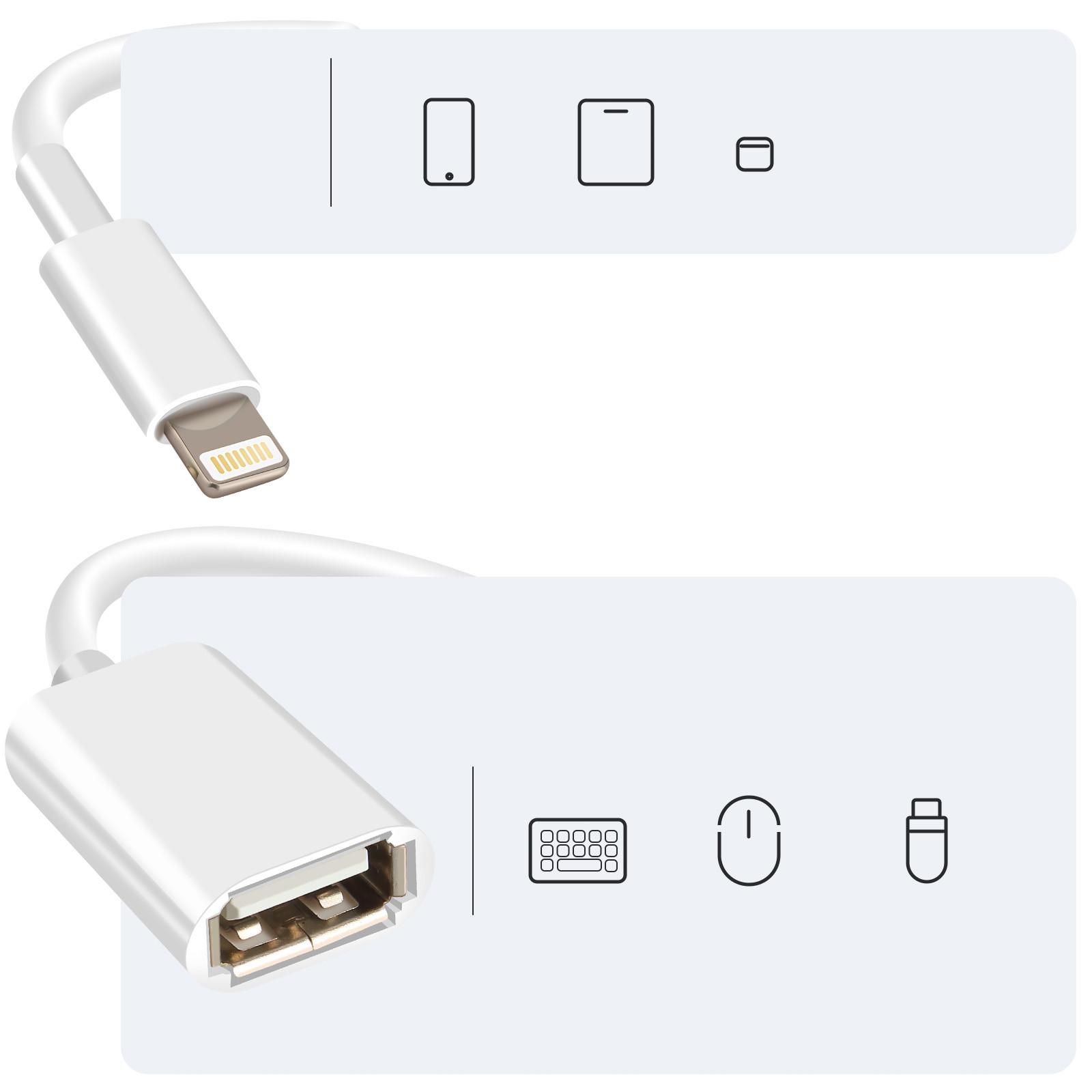 Avizar  Adaptateur OTG USB vers Lightning Blanc 