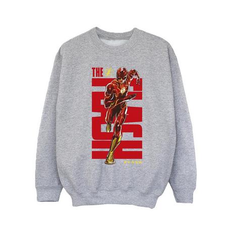 DC COMICS  Sweatshirt 