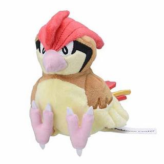 Pokémon  Pidgeotto Sitting Cuties Plush 