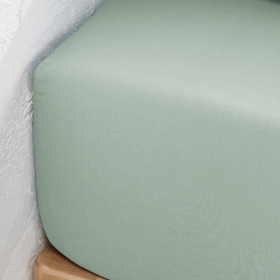 La Redoute Intérieurs Scenario Uni Perkal Bio-Baumwoll-Fixleintuch  