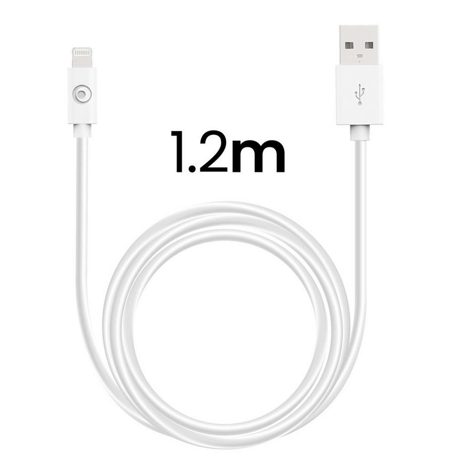 BigBen Connected  Caricabatterie 2.4A PD + cavo USB C 