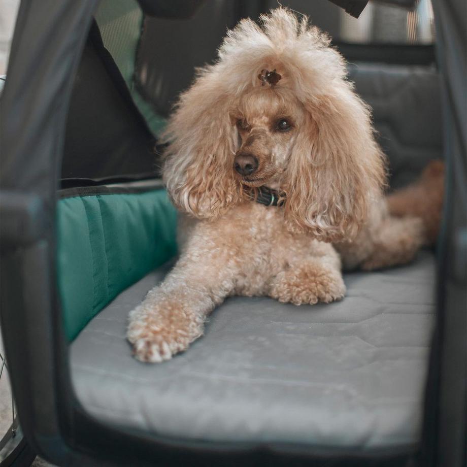 THULE  lit pour chien Dog Bexey 
