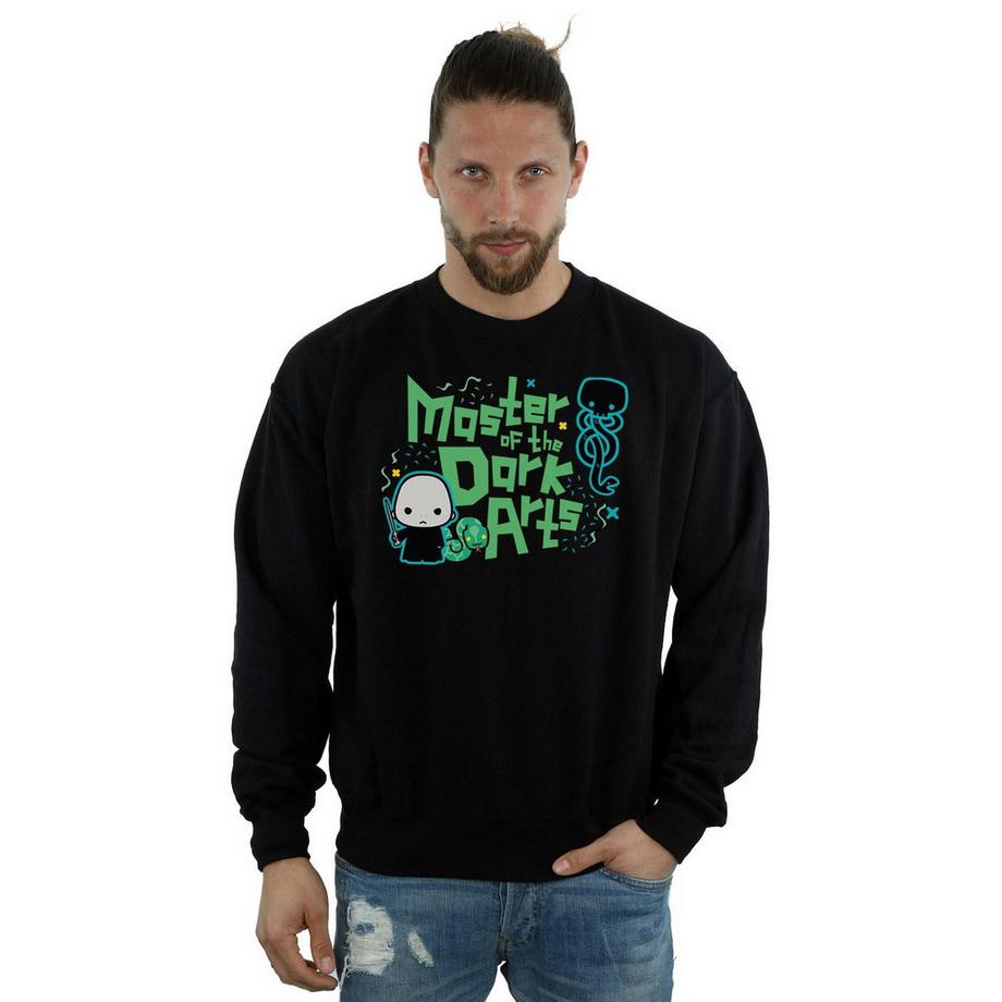 Harry Potter Voldemort Dark Arts Junior Sweatshirt  