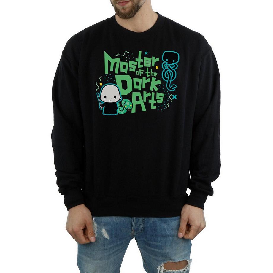 Harry Potter Voldemort Dark Arts Junior Sweatshirt  