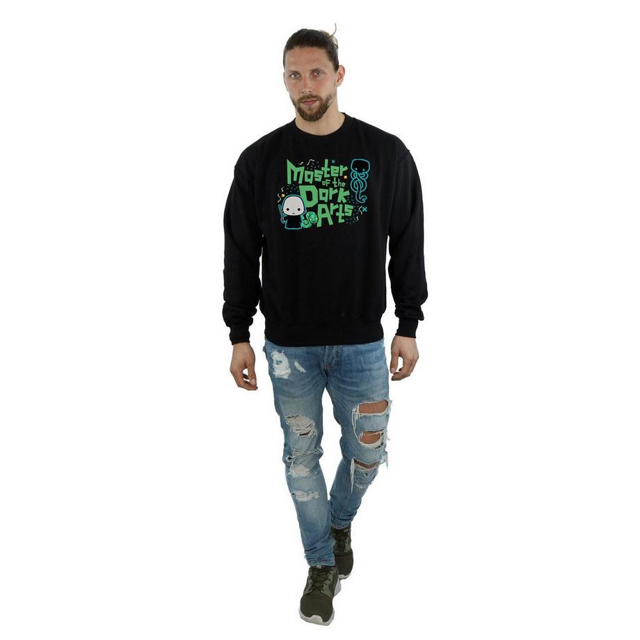 Harry Potter Voldemort Dark Arts Junior Sweatshirt  