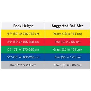 THERA-BAND  TheraBand ABS Gymnastikball silber 85cm (1 Stk) 