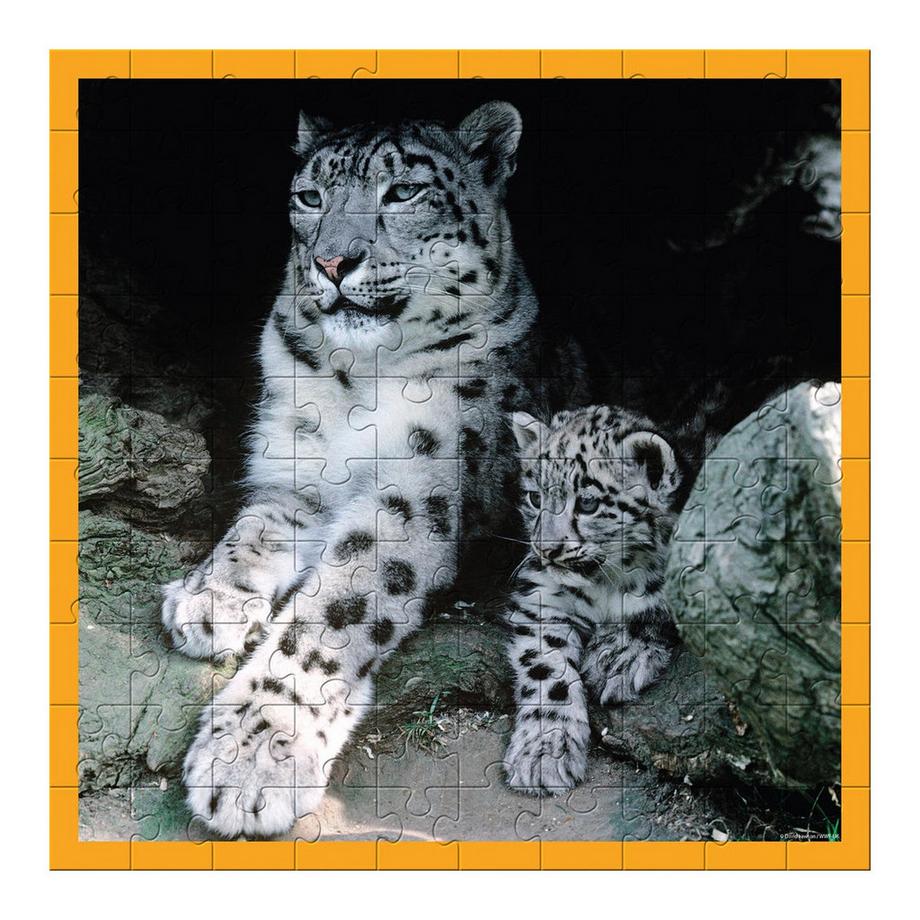 Ambassador  Puzzle Schneeleoparden (100Teile) 