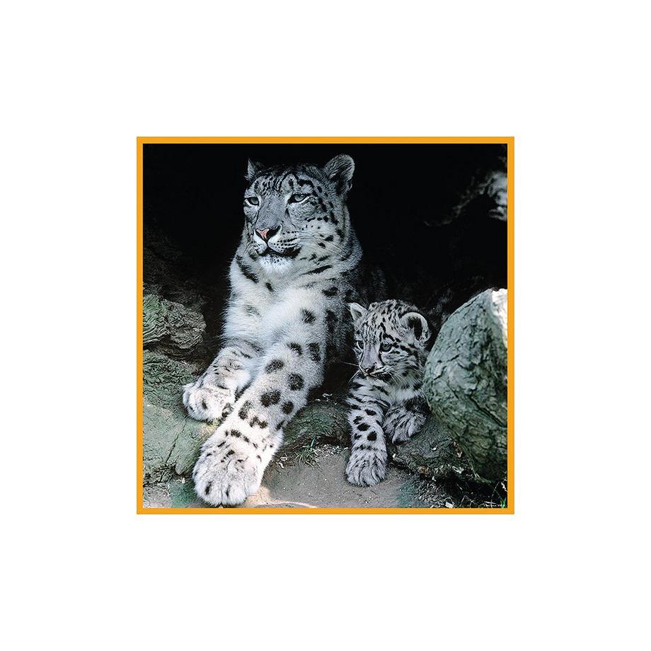 Ambassador  Puzzle Schneeleoparden (100Teile) 