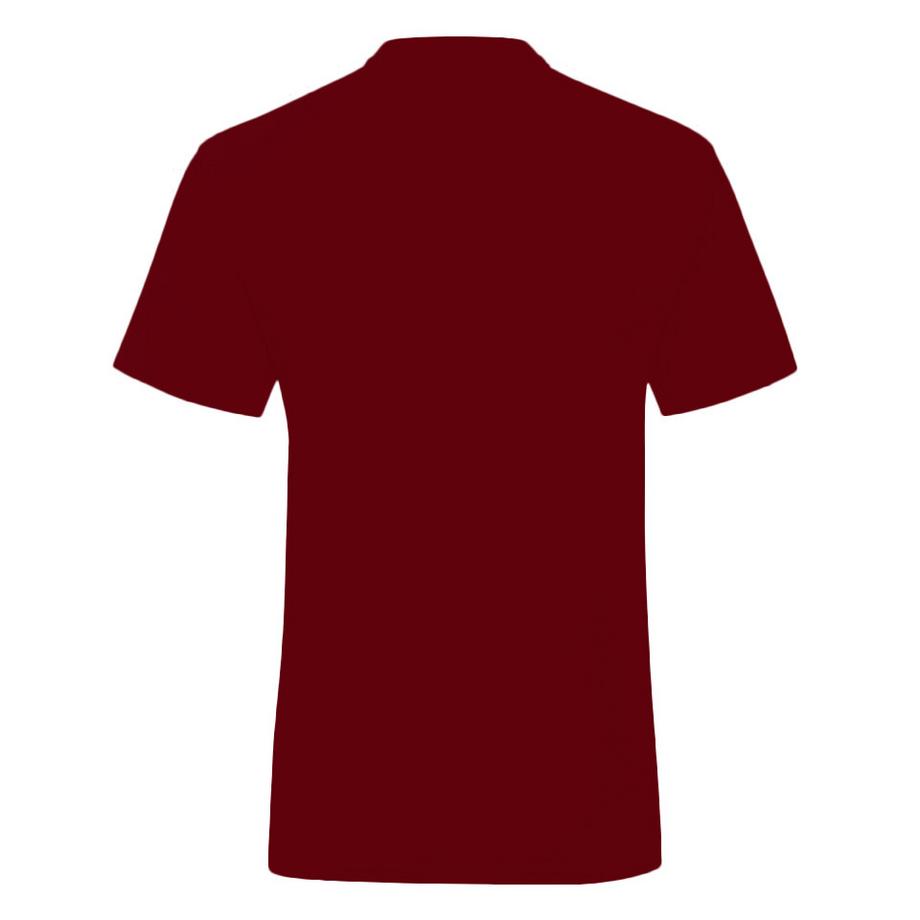 Harry Potter Gryffindor Team Quidditch T-Shirt  