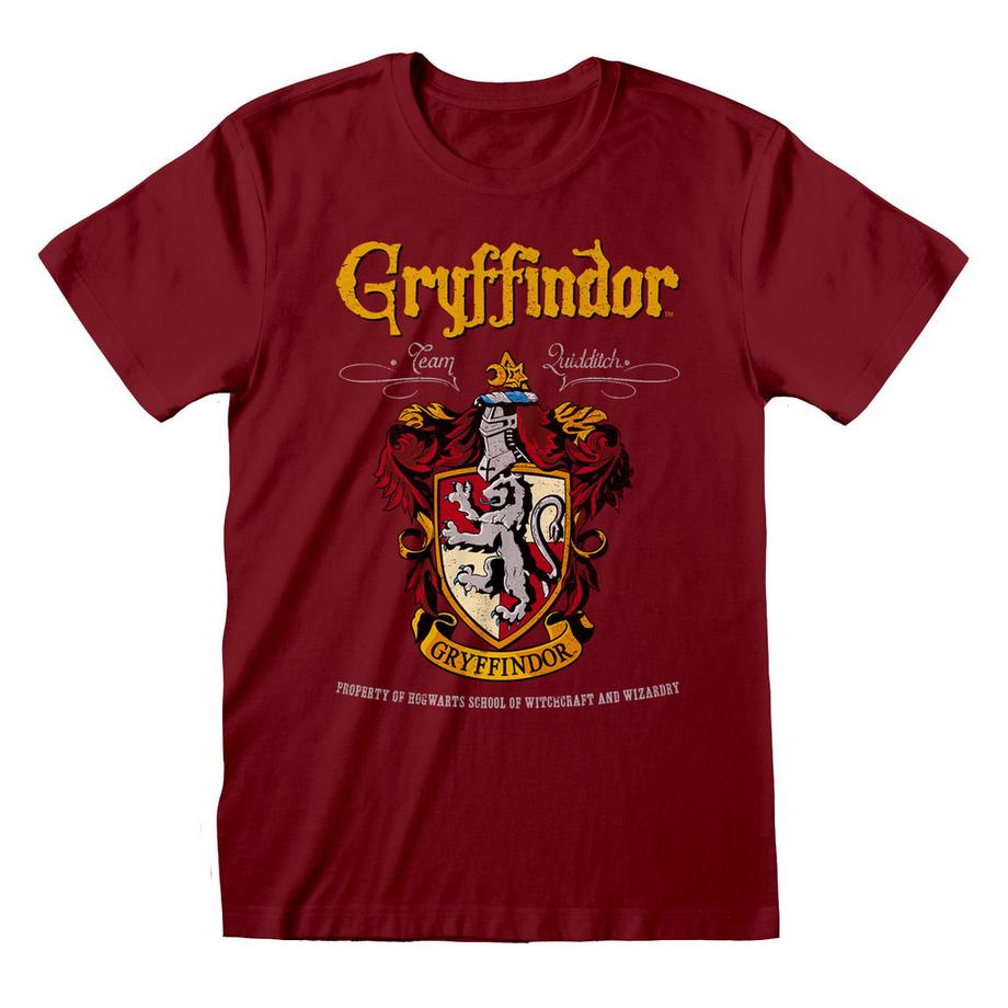 Harry Potter Gryffindor Team Quidditch T-Shirt  