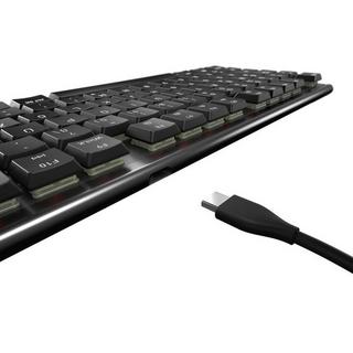 Cherry  CHERRY MX 10.0N RGB clavier USB QWERTZ Suisse Noir 